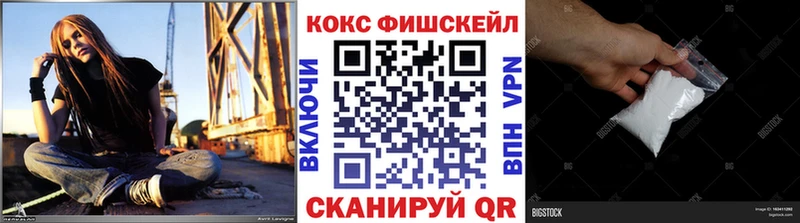 цена наркотик  Великий Устюг  Cocaine Fish Scale 