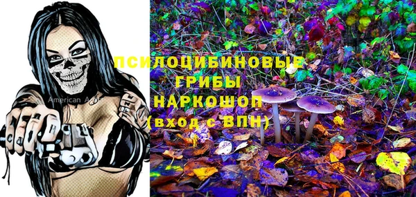 ГАЛЛЮЦИНОГЕННЫЕ ГРИБЫ Беломорск