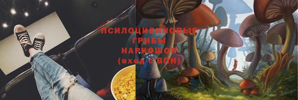 кокаин Белокуриха