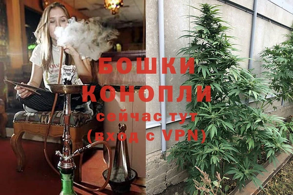 ГАЛЛЮЦИНОГЕННЫЕ ГРИБЫ Беломорск