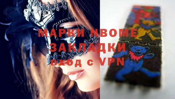 индика Сатка