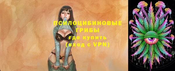 кокаин Белокуриха
