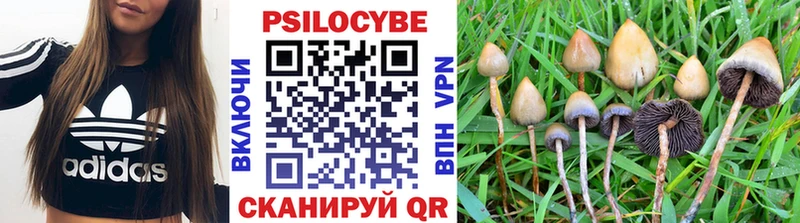 Галлюциногенные грибы прущие грибы  Великий Устюг 